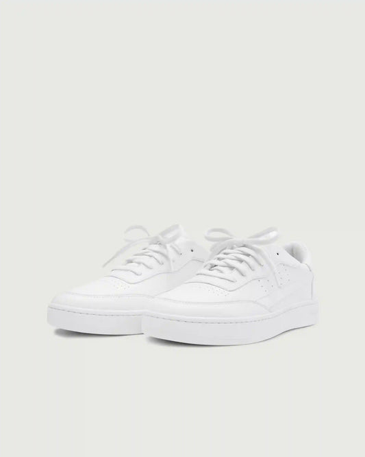 Vegan 581 | Subdued